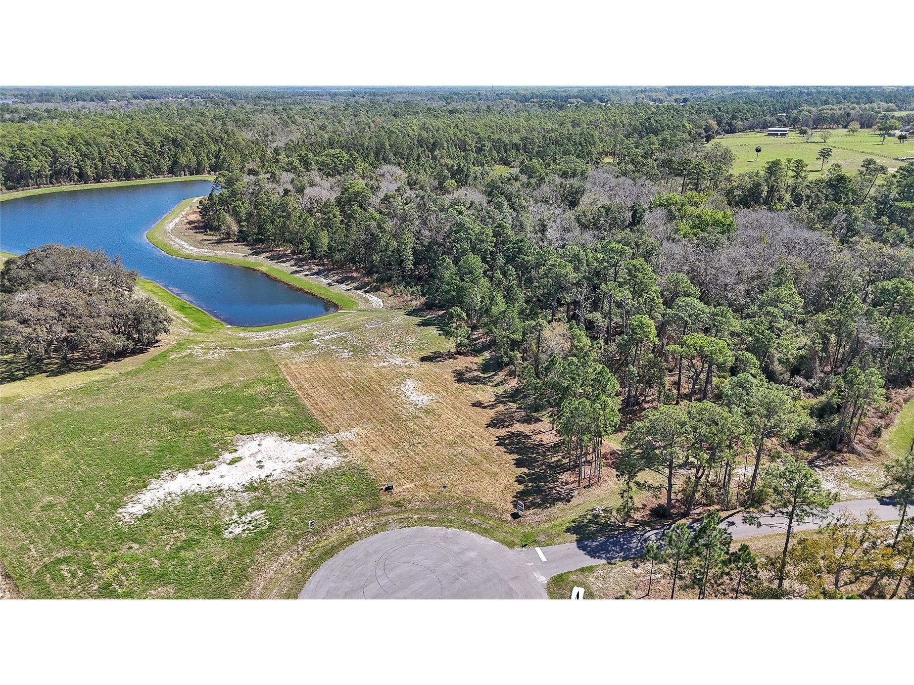 20280 Shoreline Ranch Lane Umatilla FL 32784 - LAKE DALHOUSIE O6389874 image7