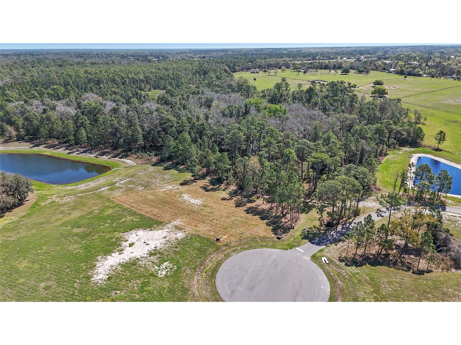 20280 Shoreline Ranch Lane Umatilla FL 32784 - LAKE DALHOUSIE O6416011 image13