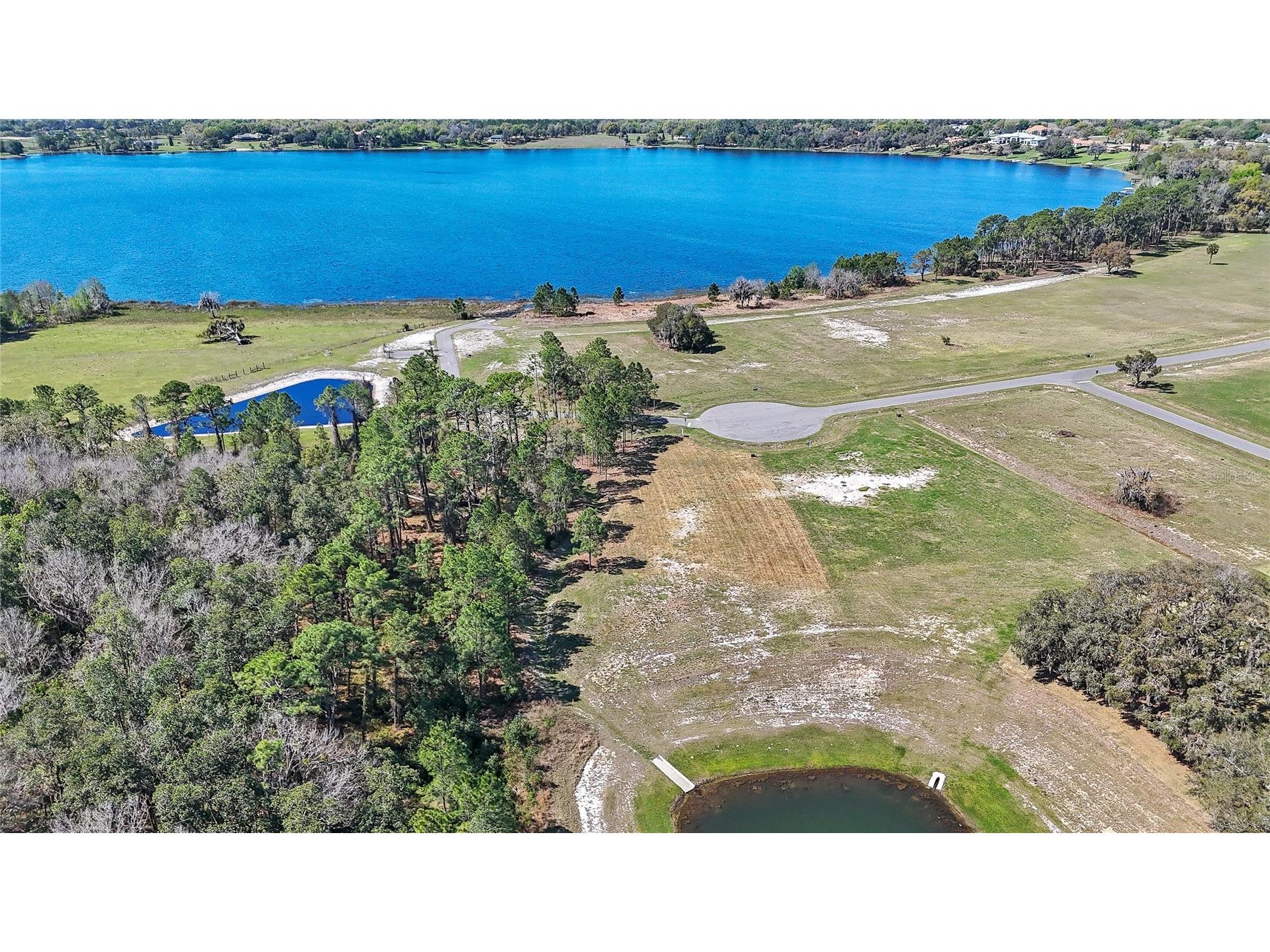 20280 Shoreline Ranch Lane Umatilla FL 32784 - LAKE DALHOUSIE O6416011 image4