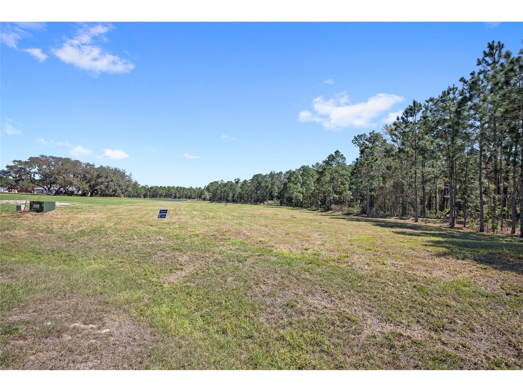 20280 Shoreline Ranch Lane Umatilla FL 32784 - LAKE DALHOUSIE O6416011 image7