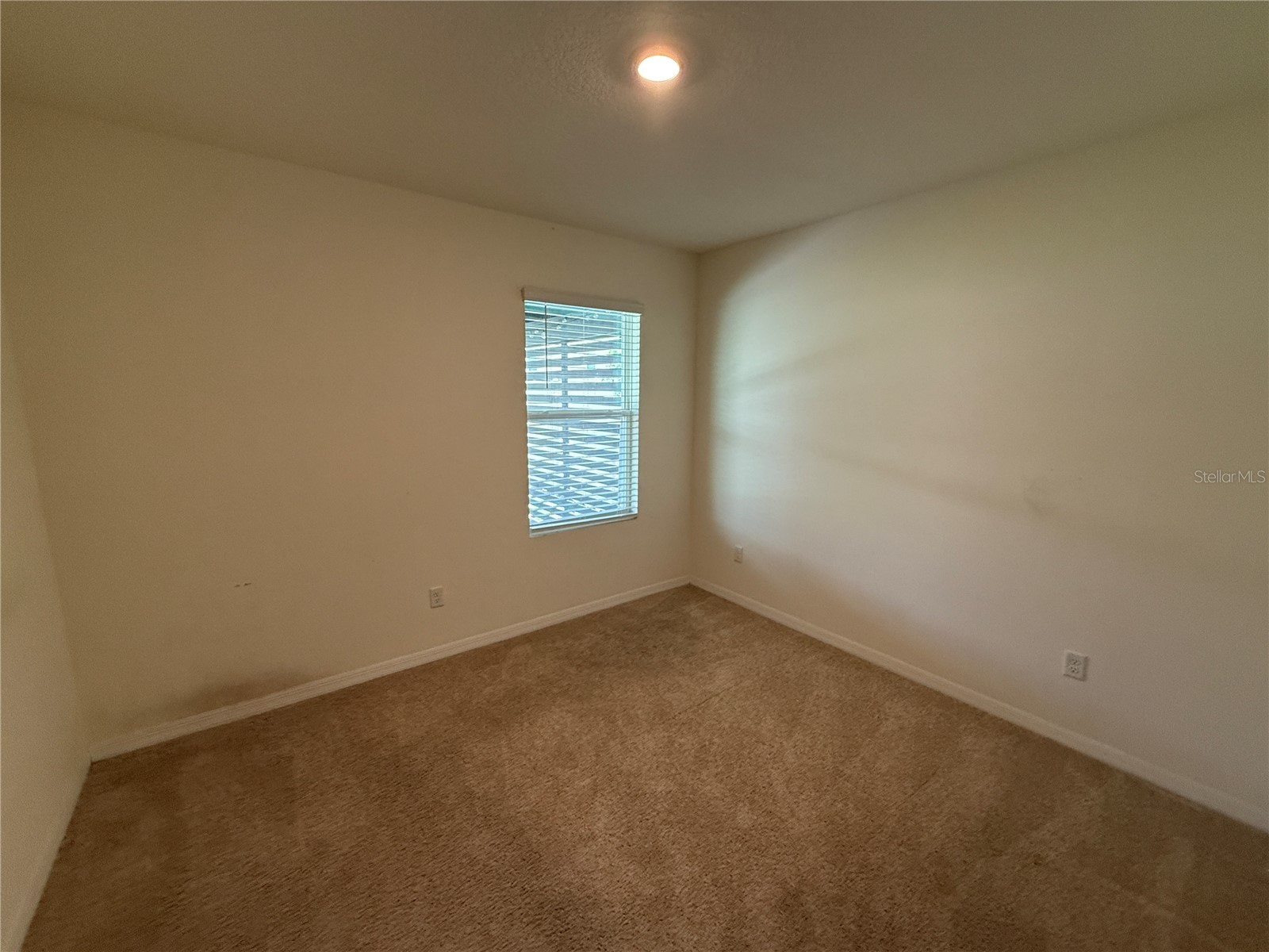2029 Maple Ridge Drive Zellwood FL 32798 O6406112 image13
