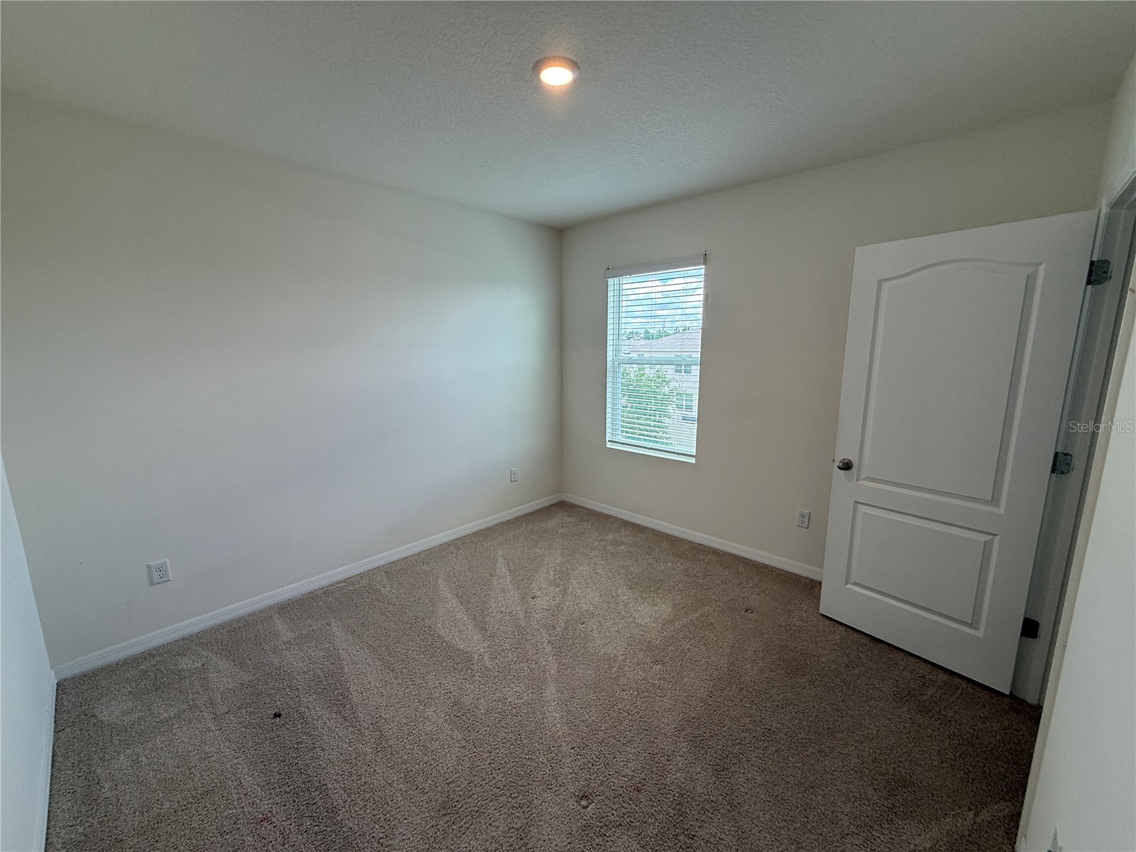 2029 Maple Ridge Drive Zellwood FL 32798 O6406112 image28