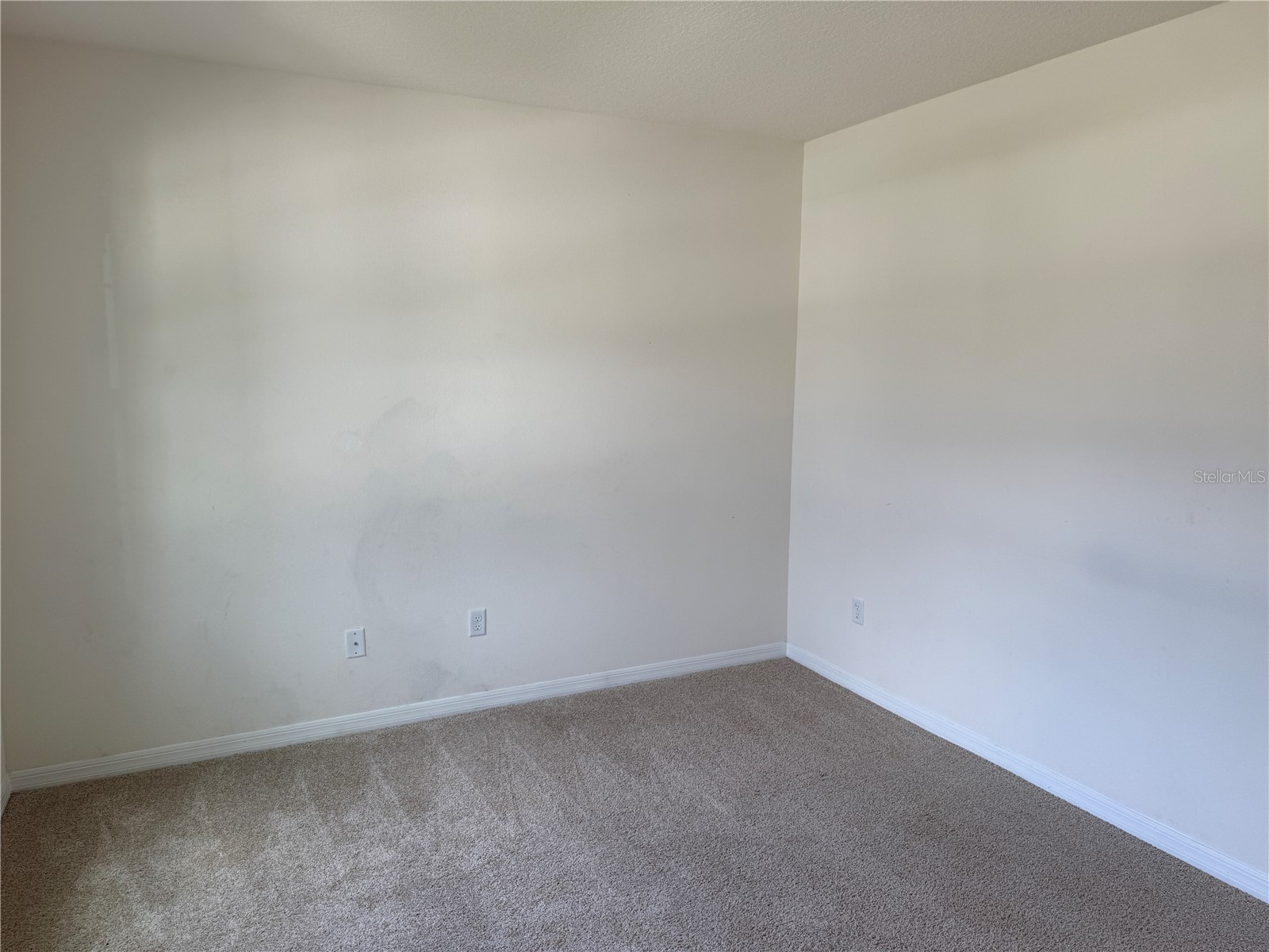 2029 Maple Ridge Drive Zellwood FL 32798 O6406112 image30