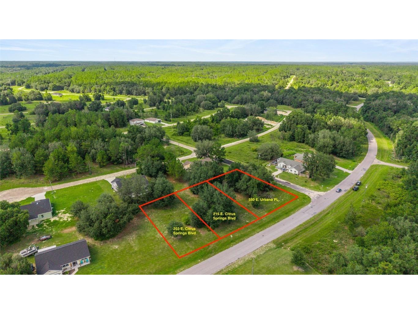 203 & 215 E Citrus Springs Boulevard Citrus Springs FL 34434 OM709559 image4