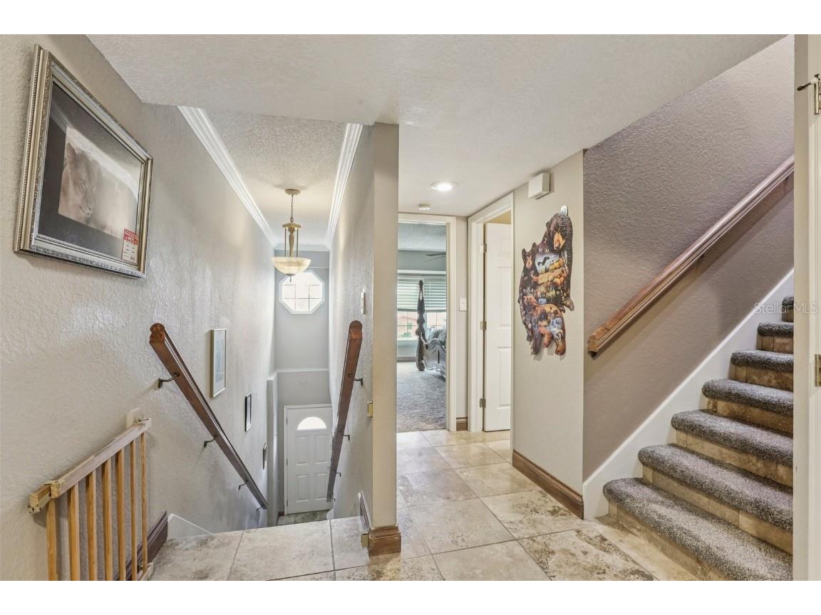 203 46th Avenue Saint Pete Beach FL 33706 TB8407129 image4