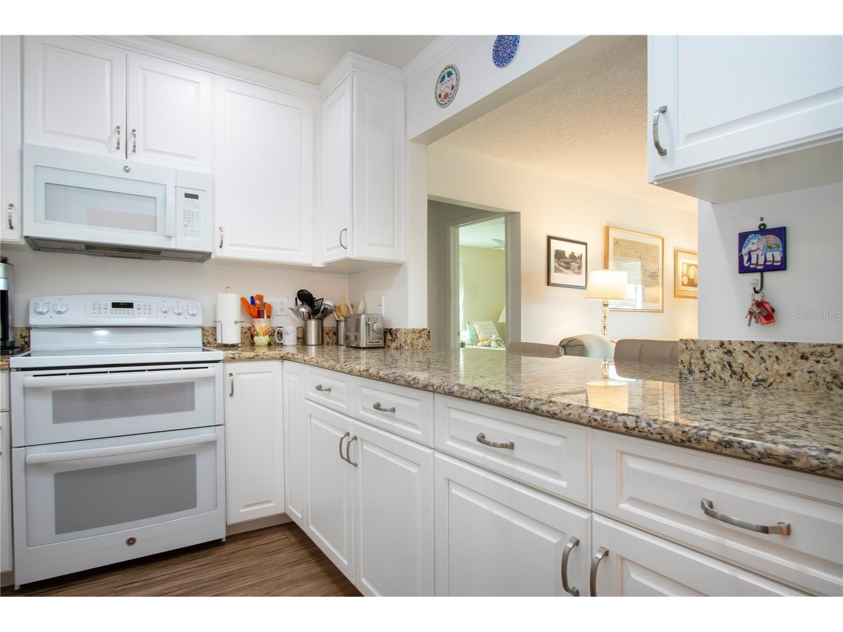 203 Austin Hill Court Sun City Center FL 33573 TB8481459 image22