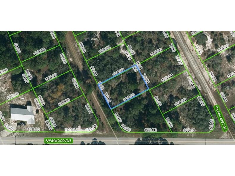 203 Blue Horizon Drive Lake Placid FL 33852 OM623439 image1