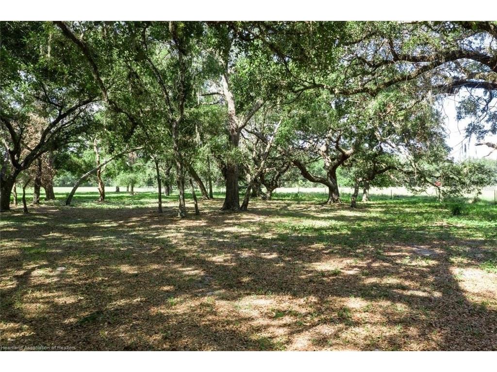 203 Boyer Street Venus FL 33960 L4962109 image25