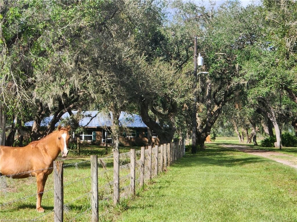 203 Boyer Street Venus FL 33960 L4962109 image5