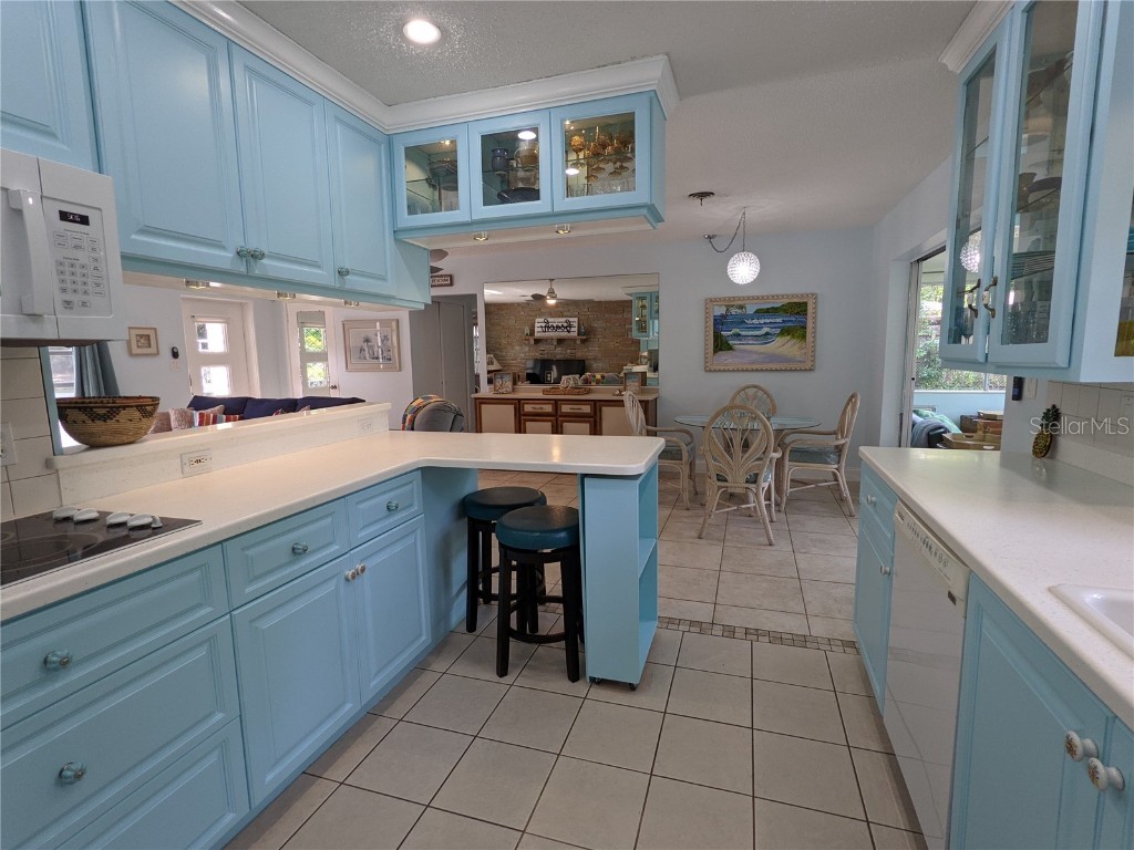 203 Canova Drive New Smyrna Beach FL 32169 NS1068957 image48