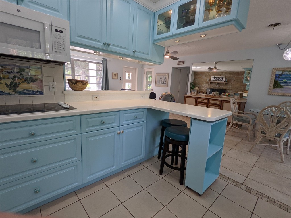 203 Canova Drive New Smyrna Beach FL 32169 NS1068957 image52