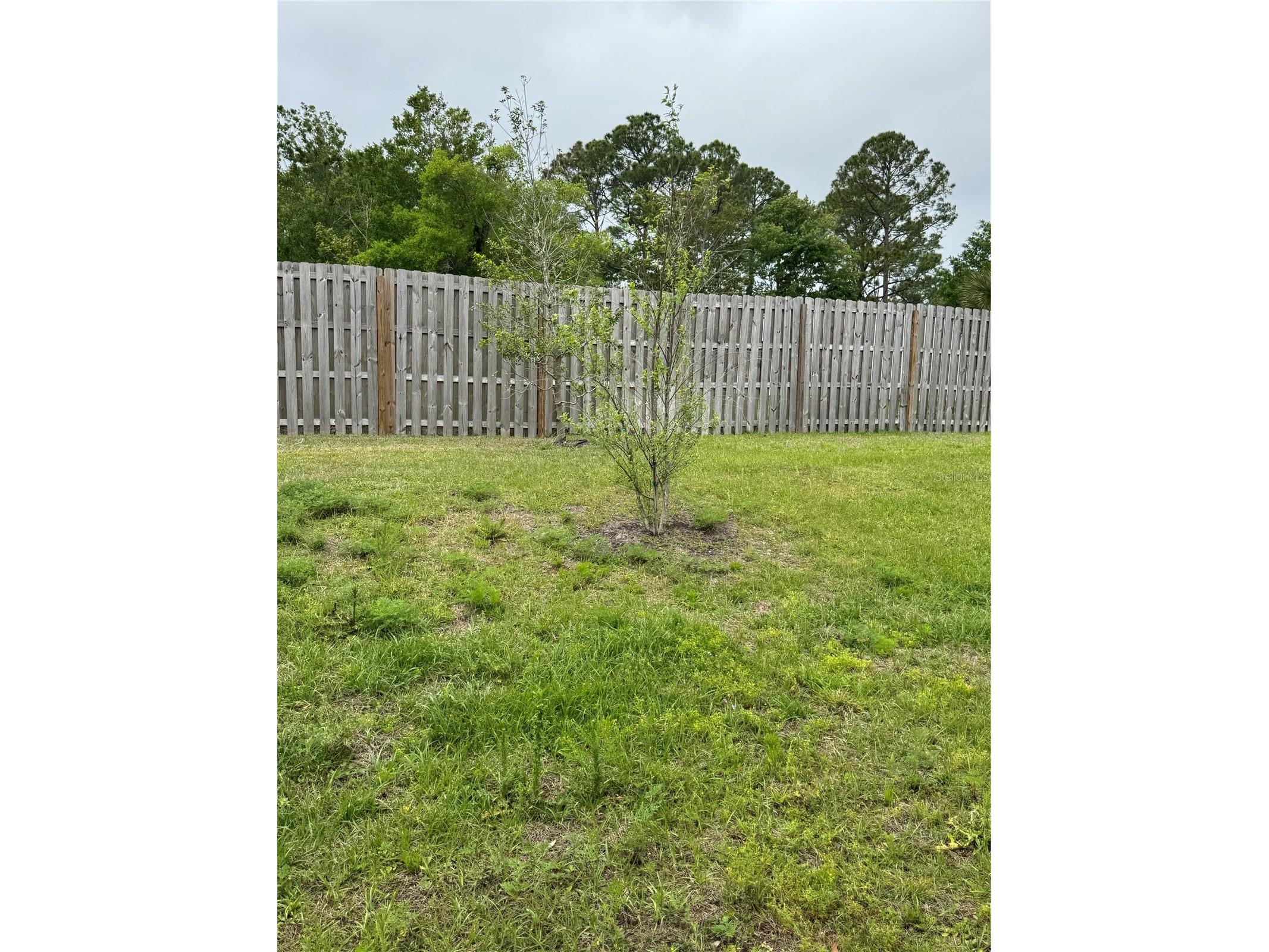 203 Chesterwood Road Saint Augustine FL 32084 G5110850 image22