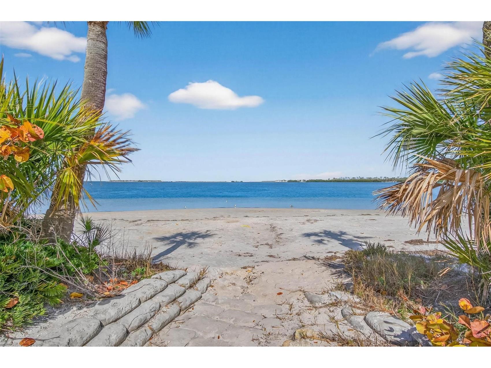 203 Driftwood Drive W Palm Harbor FL 34683 TB8478229 image33