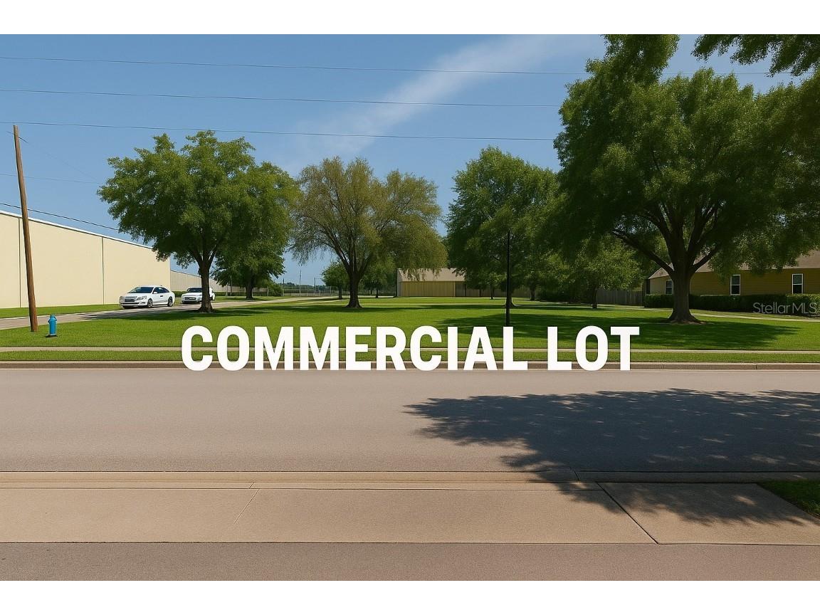 203 Emerald Avenue Lake Wales FL 33853 O6312263 image1