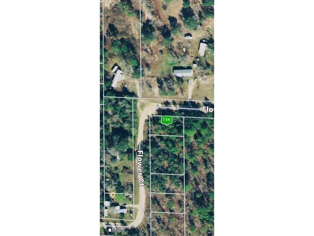 203 Flower Court Interlachen FL 32148 OM658509 image1