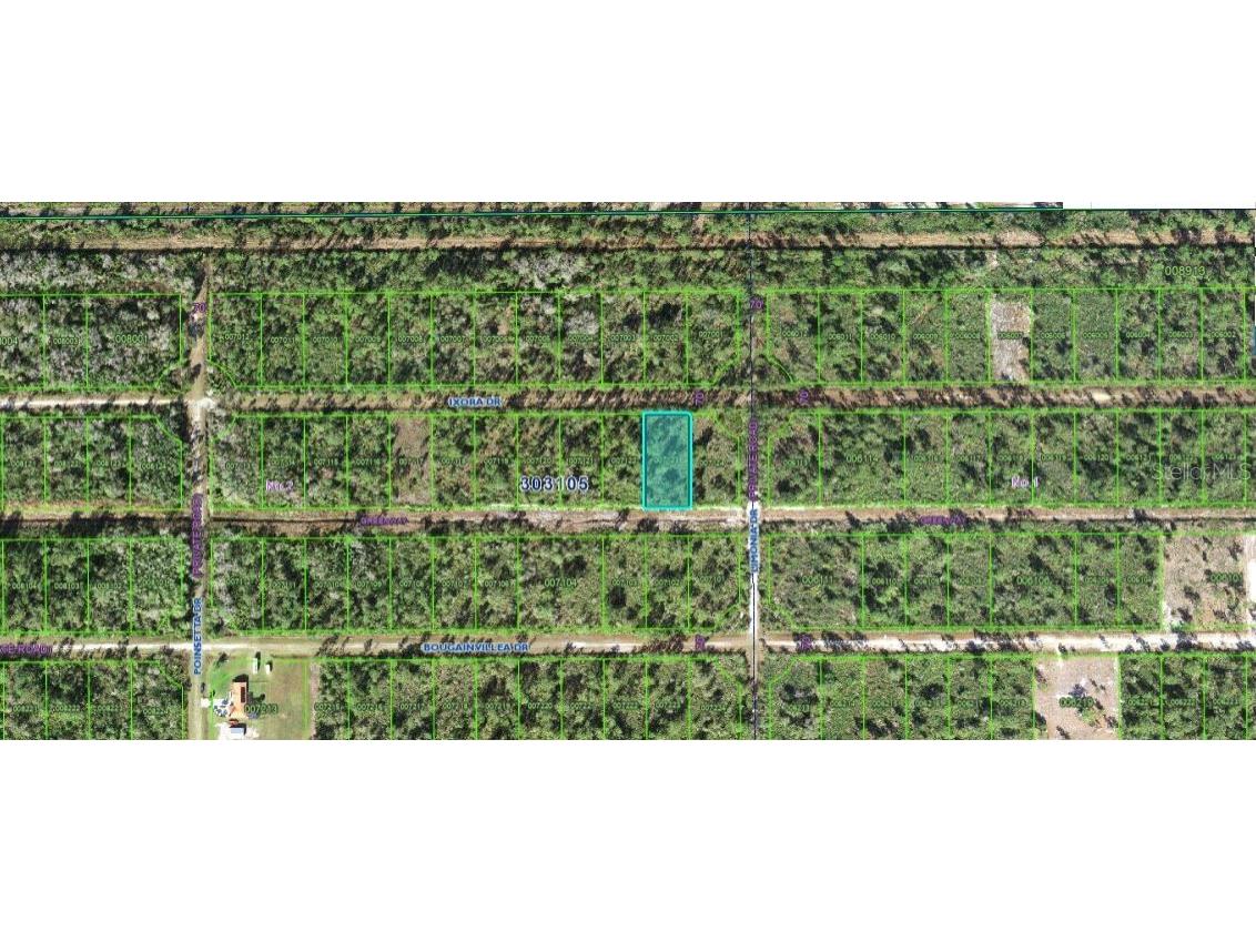 203 Ixora Drive Indian Lake Estates FL 33855 O6272521 image3