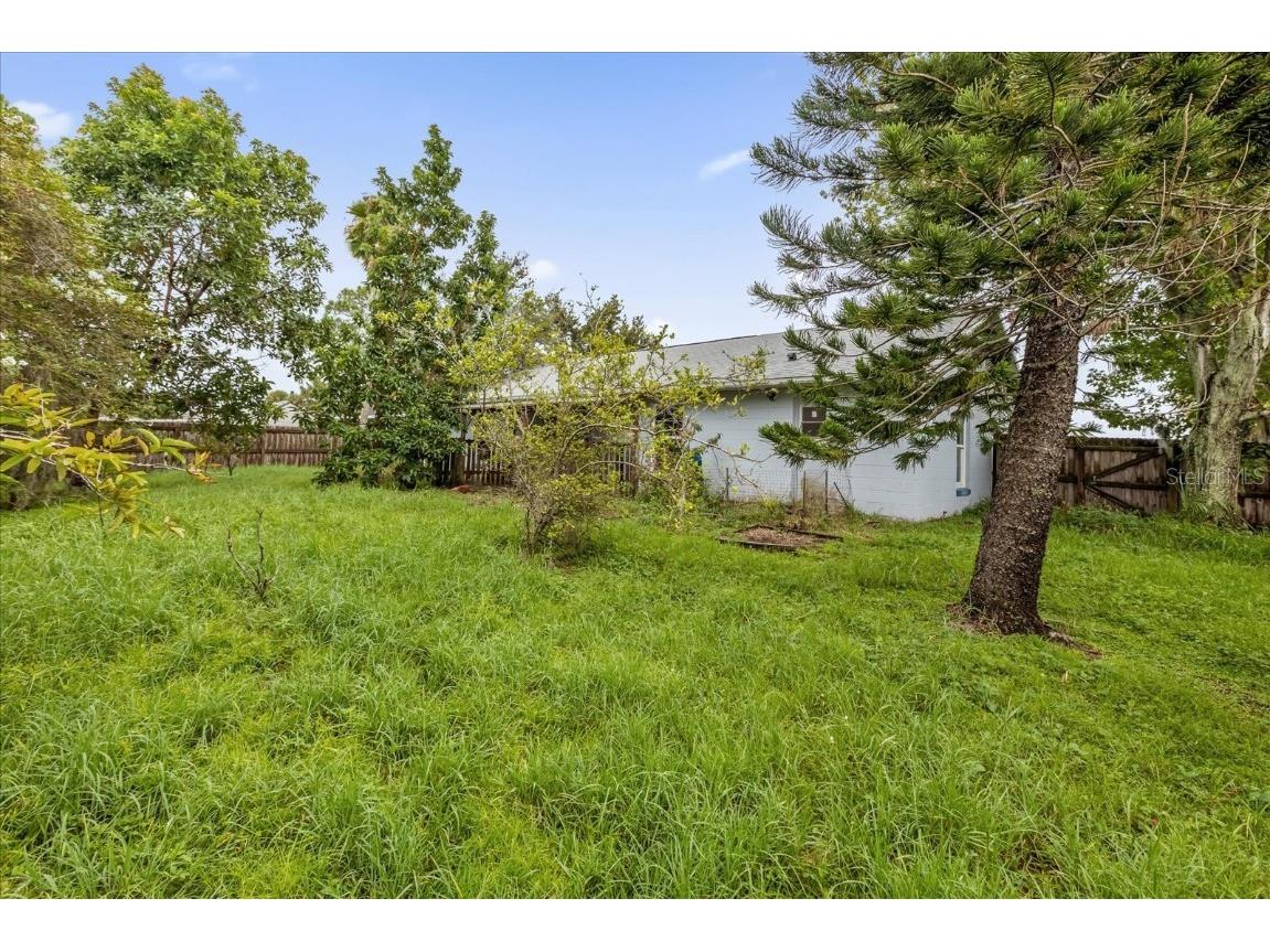 203 Larkspur Court Kissimmee FL 34743 O6337156 image4