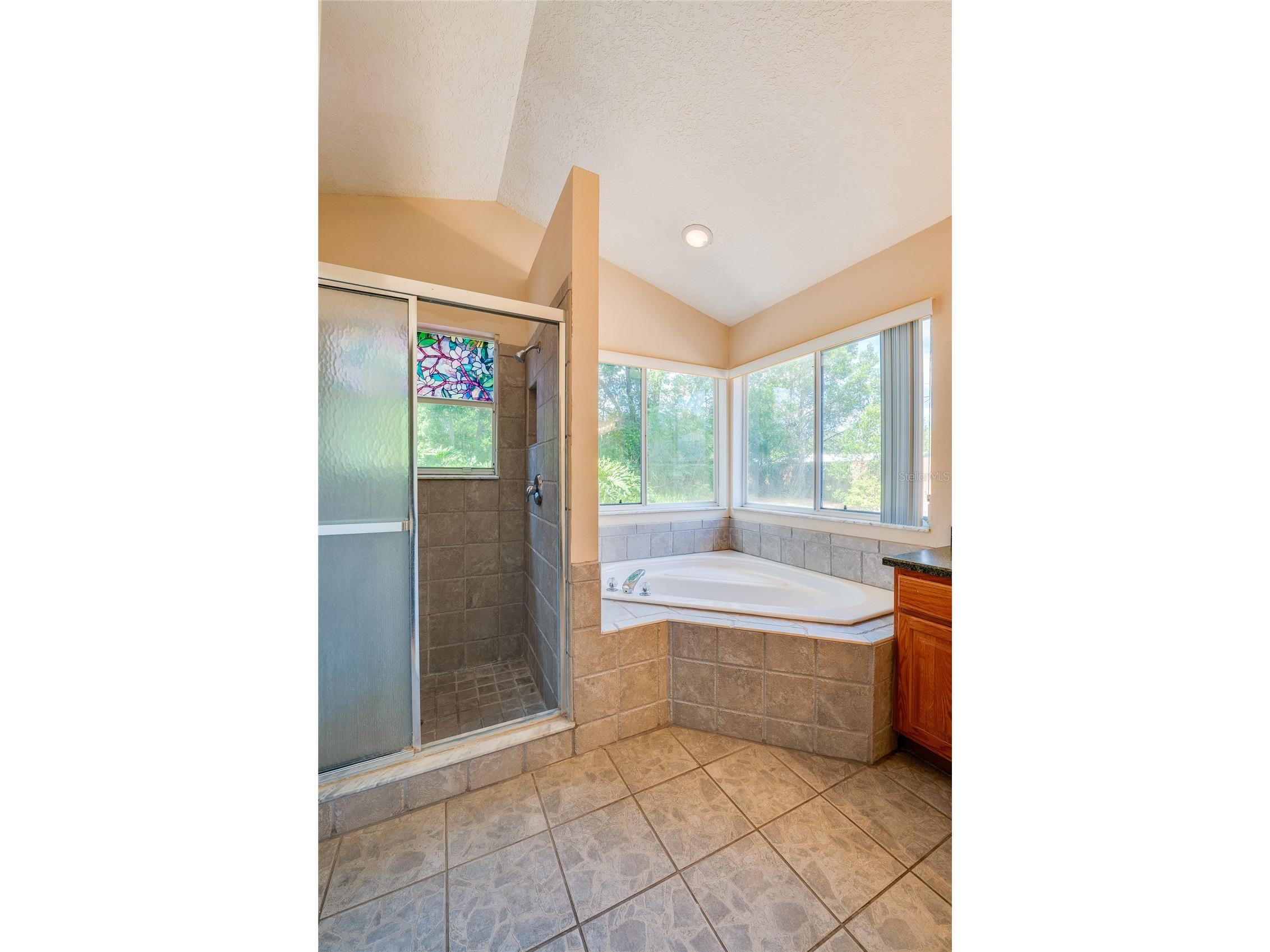 203 Live Oak Court Lake Mary FL 32746 V4949263 image17