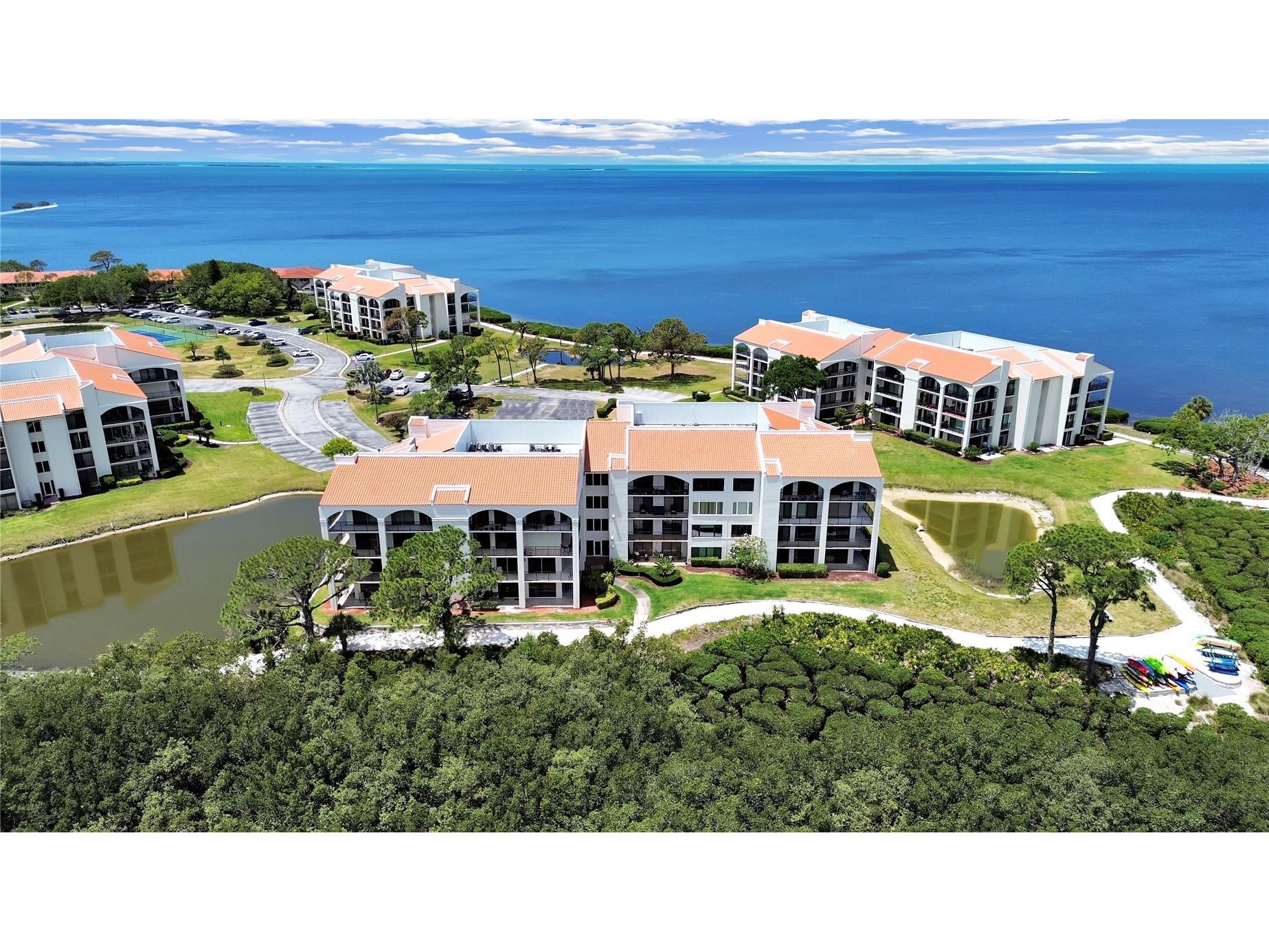 203 Mariner Drive #203 Tarpon Springs FL 34689 TB8440499 image1