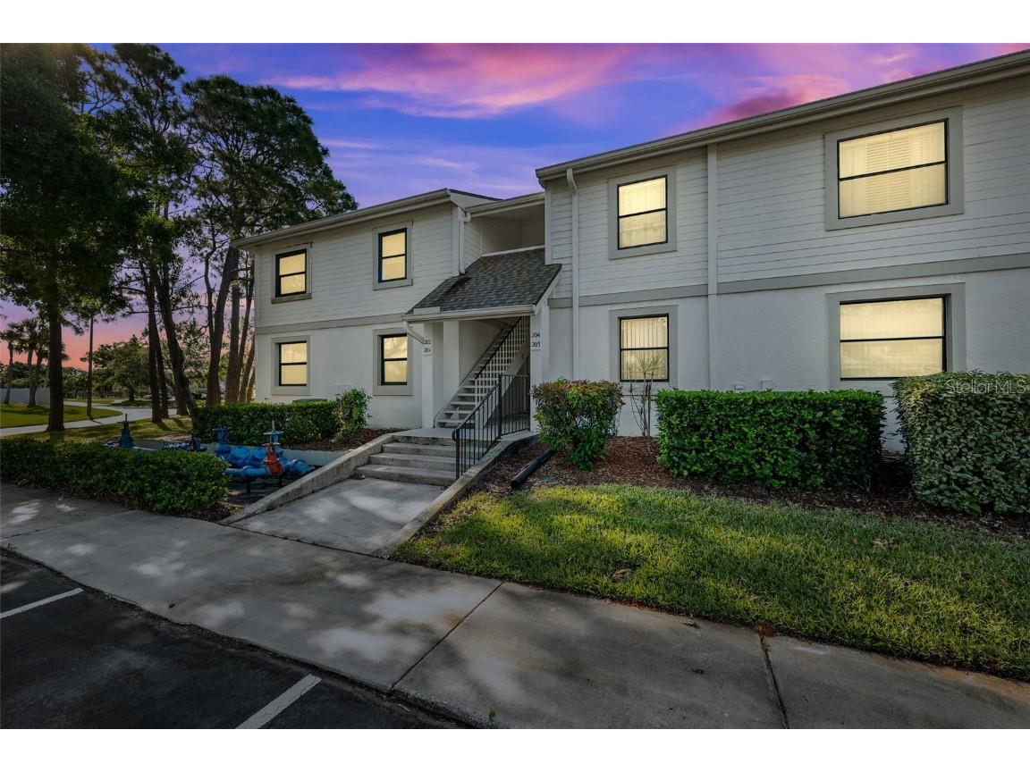 203 Meadow Lane #203 Oldsmar FL 34677 W7863790 image1