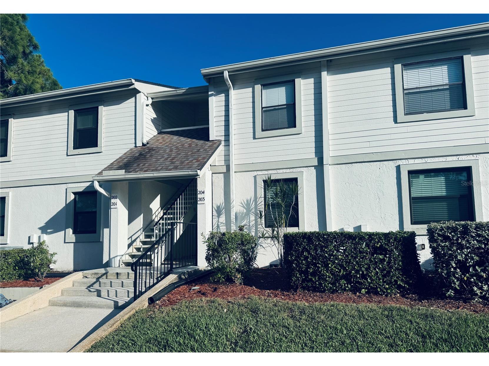 203 Meadow Lane Oldsmar FL 34677 TB8523203 image1