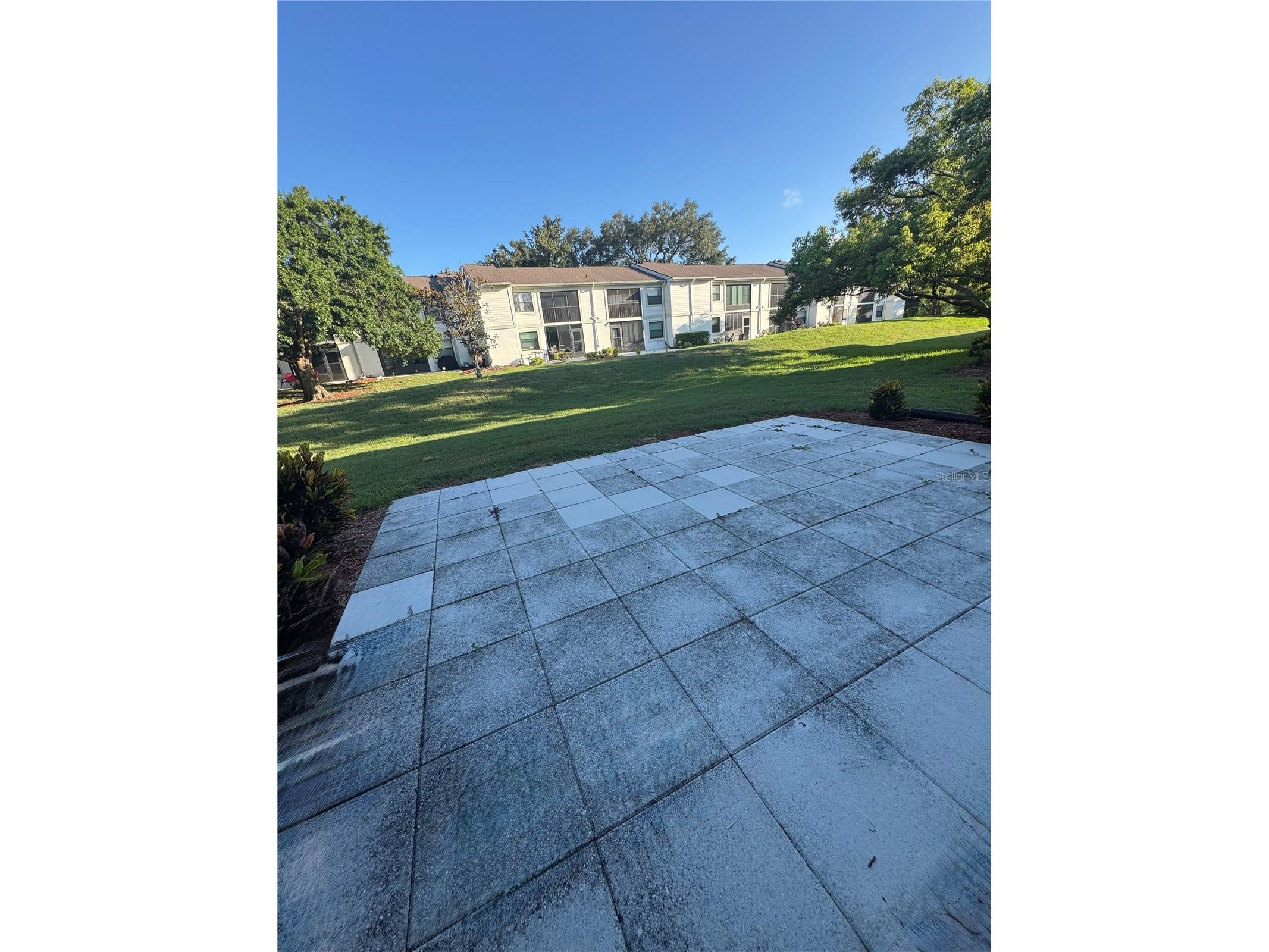 203 Meadow Lane Oldsmar FL 34677 TB8523203 image15