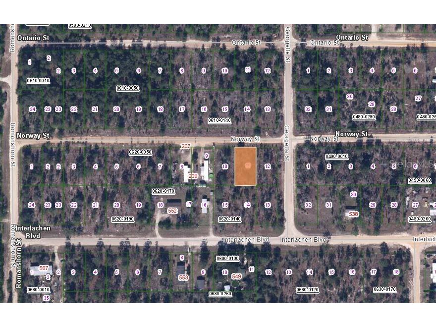 203 Norway Street Interlachen FL 32148 OM626623 image1