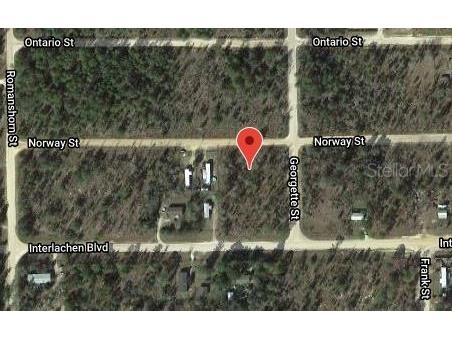 203 Norway Street Interlachen FL 32148 OM626623 image3