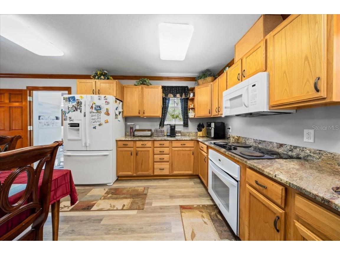 203 NW Hwy 441 Micanopy FL 32667 - GREEN ACRES LAKE OM704847 image16