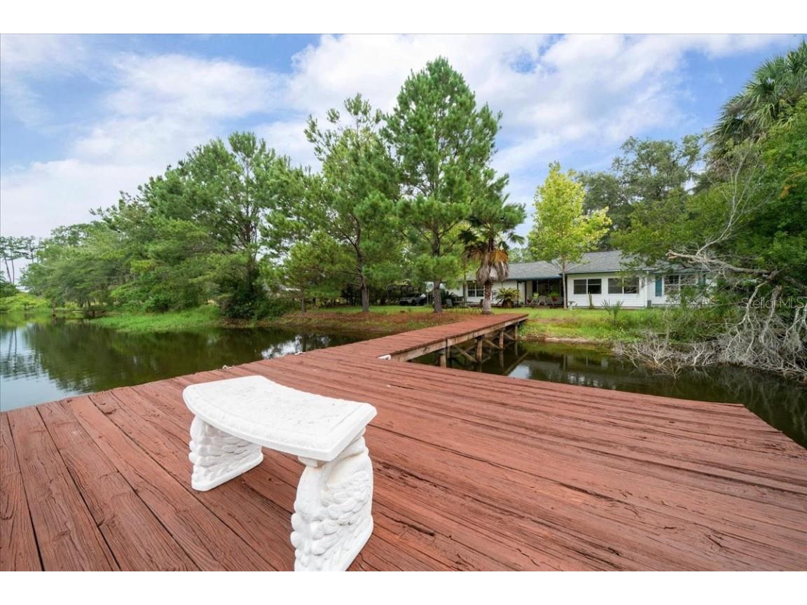 203 NW Hwy 441 Micanopy FL 32667 - GREEN ACRES LAKE OM704847 image3