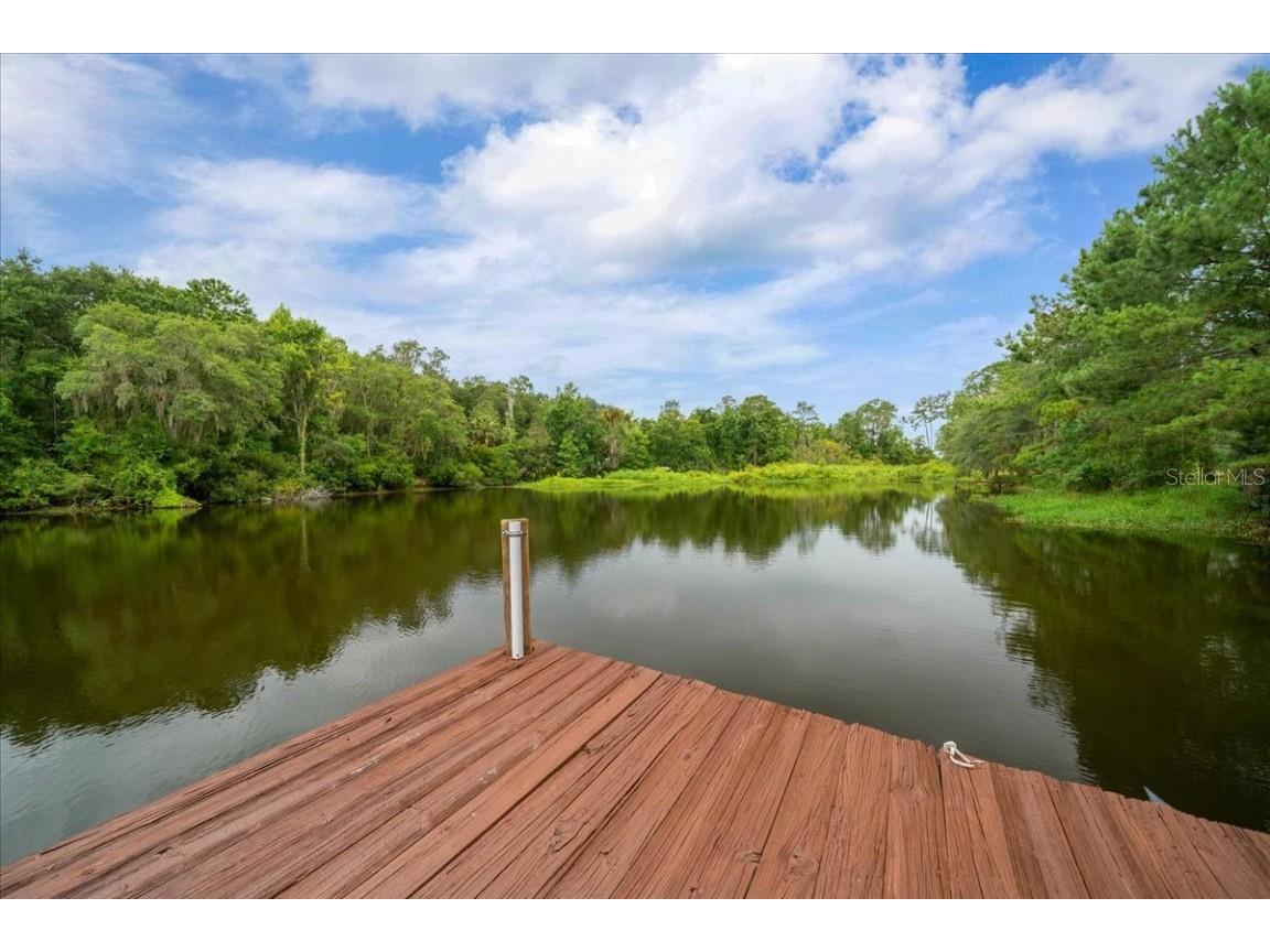 203 NW Hwy 441 Micanopy FL 32667 - GREEN ACRES LAKE OM704847 image4