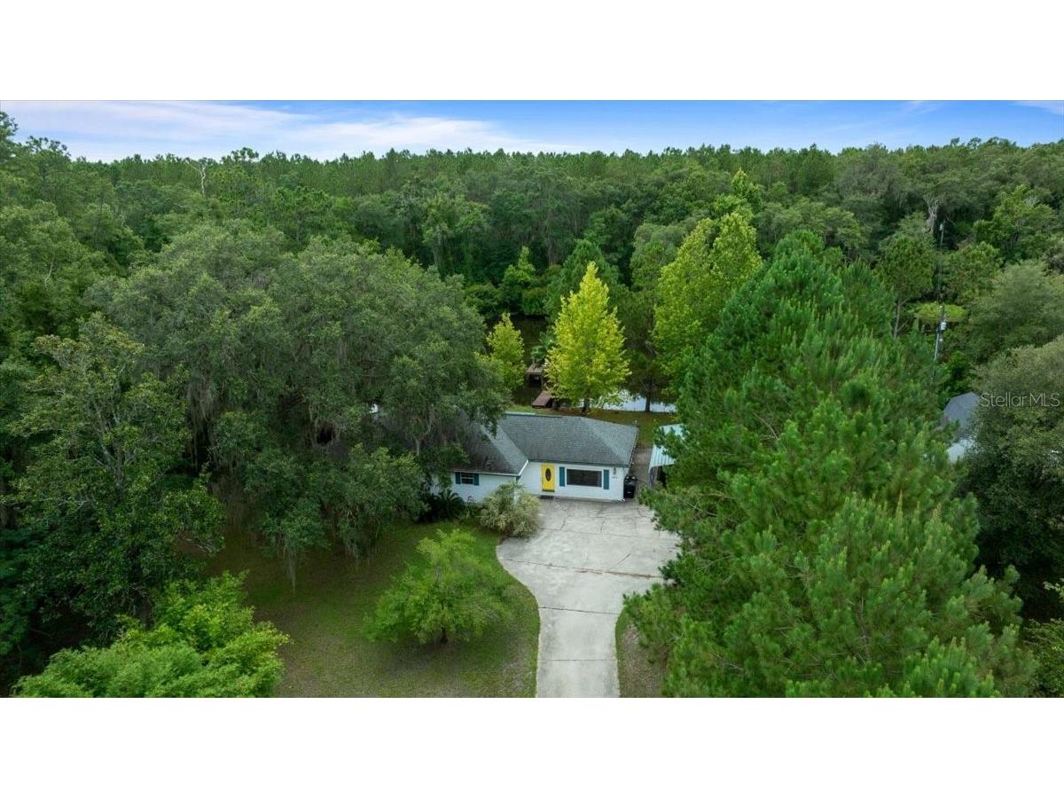 203 NW Hwy 441 Micanopy FL 32667 - GREEN ACRES LAKE OM704847 image40