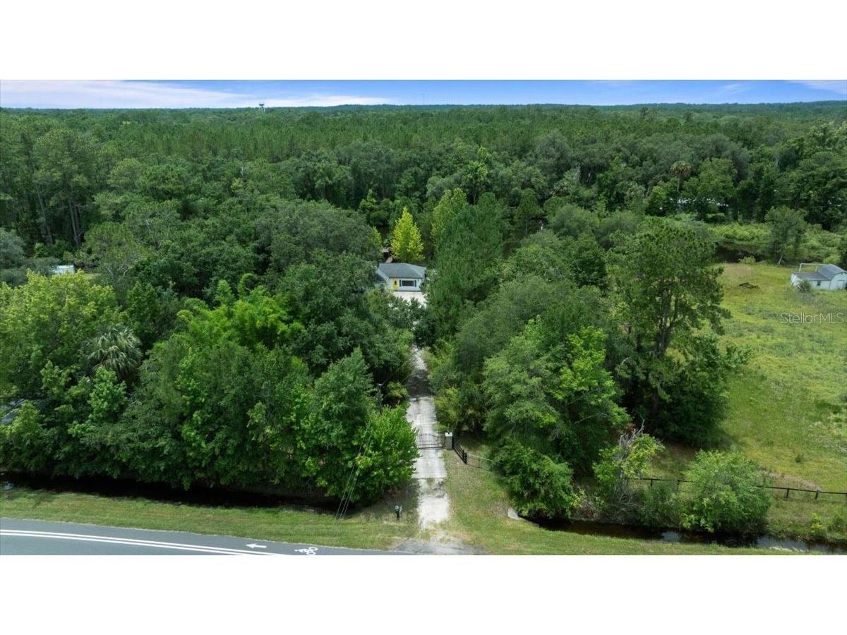 203 NW Hwy 441 Micanopy FL 32667 - GREEN ACRES LAKE OM704847 image42