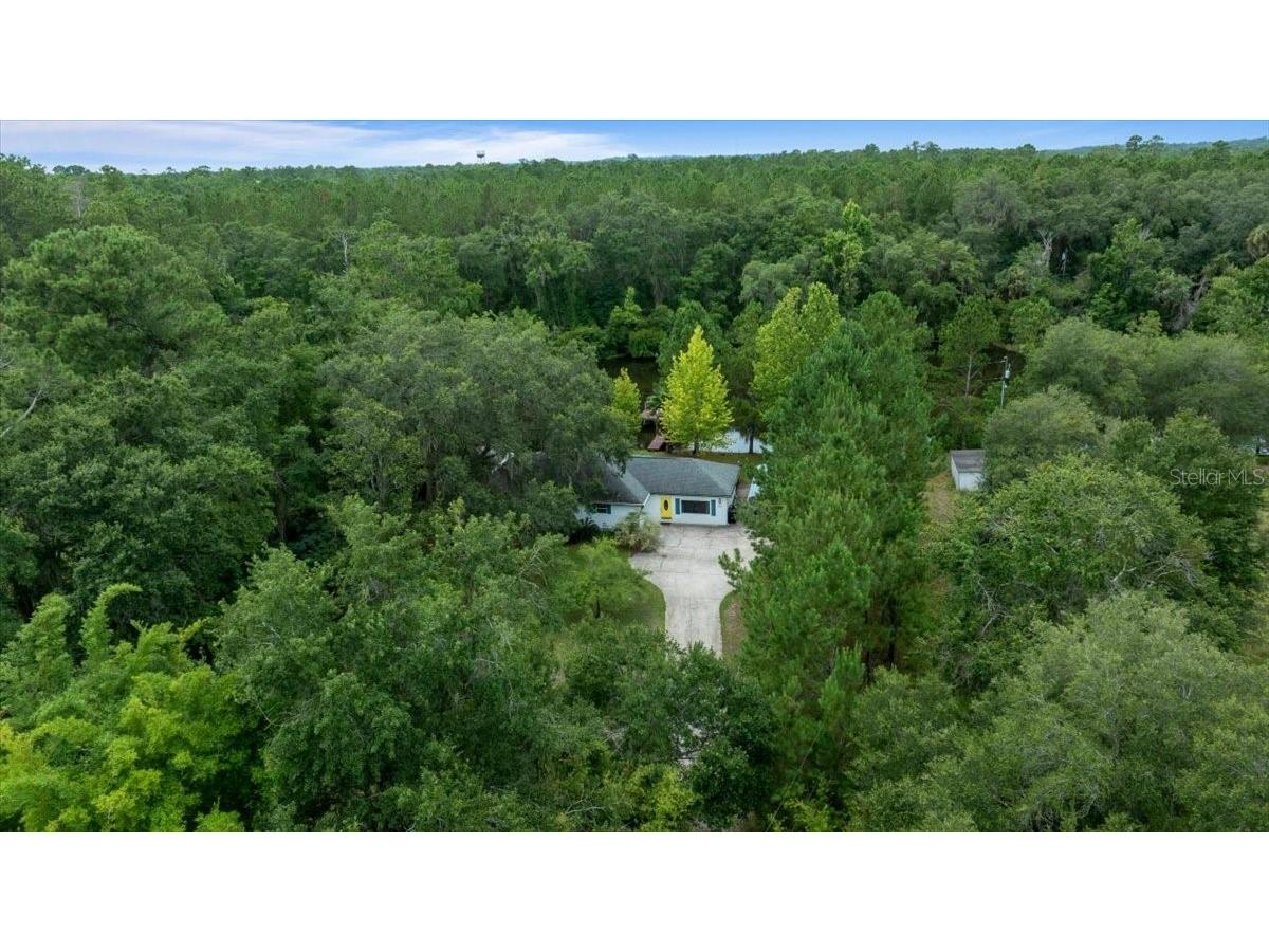 203 NW Hwy 441 Micanopy FL 32667 - GREEN ACRES LAKE OM704847 image45