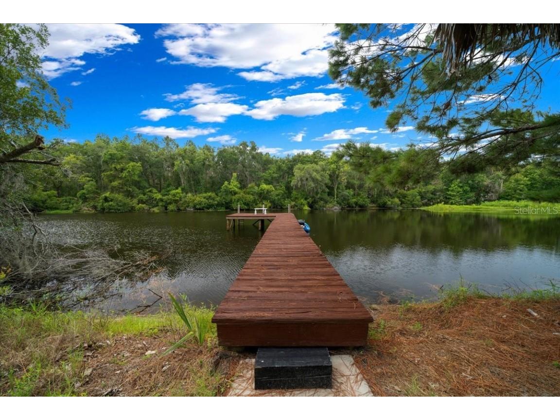 203 NW Hwy 441 Micanopy FL 32667 - GREEN ACRES LAKE OM704847 image5