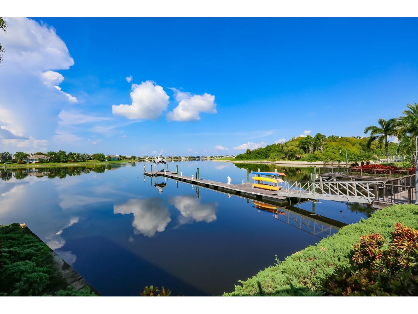 203 Oceania Court Apollo Beach FL 33572 TB8476135 image57