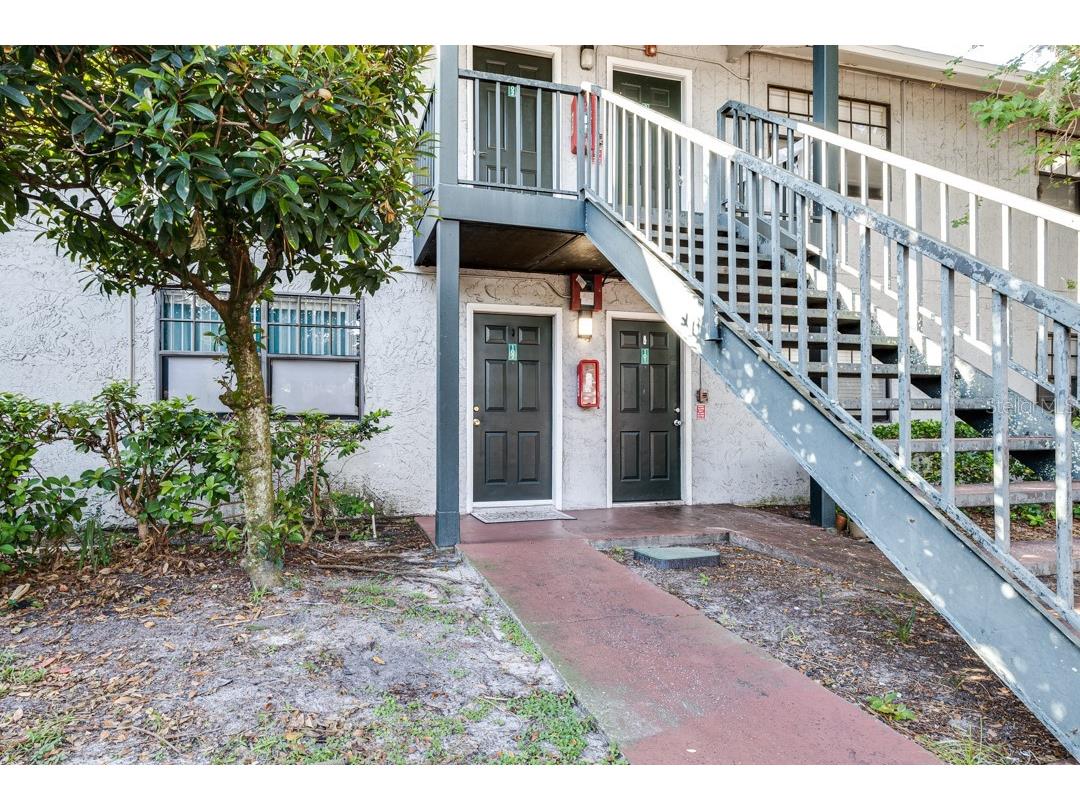 203 Pine Tulip Ct #102 Tampa FL 33612 T3475583 image1