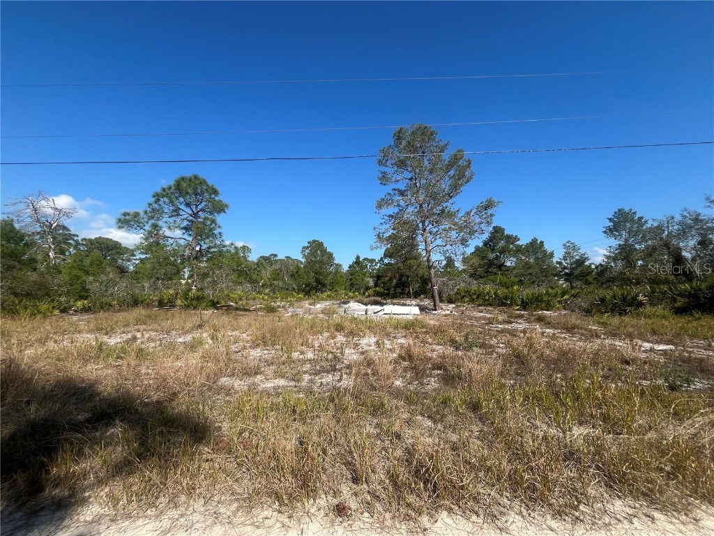 203 Raven Avenue Sebring FL 33870 OK224900 image1