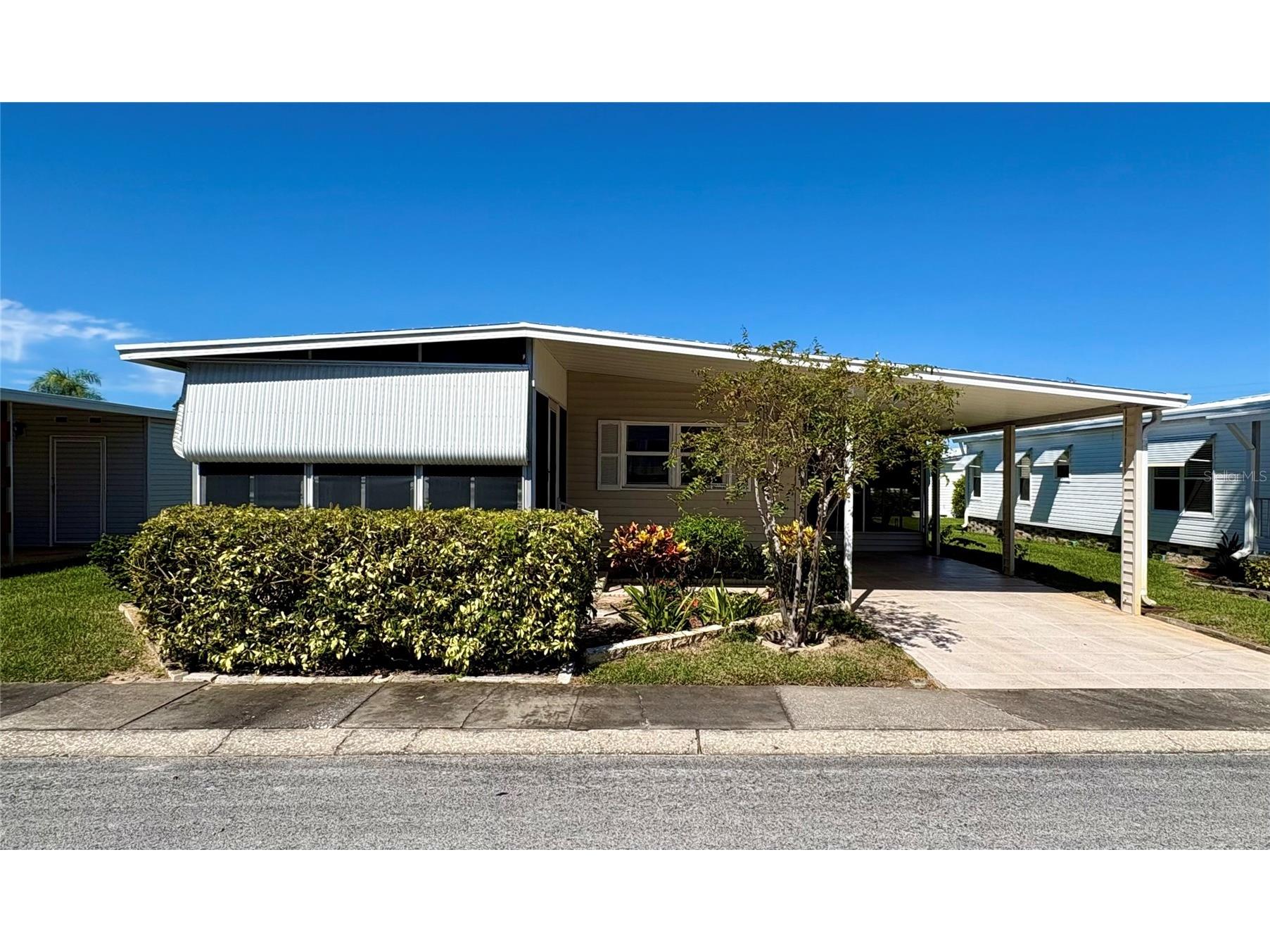 203 Red Maple Drive Palm Harbor FL 34684 TB8436240 image1