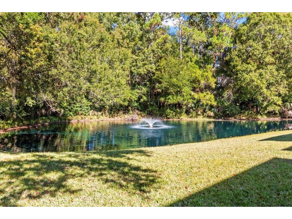 203 S Orchard Street #6C Ormond Beach FL 32174 V4946002 image33