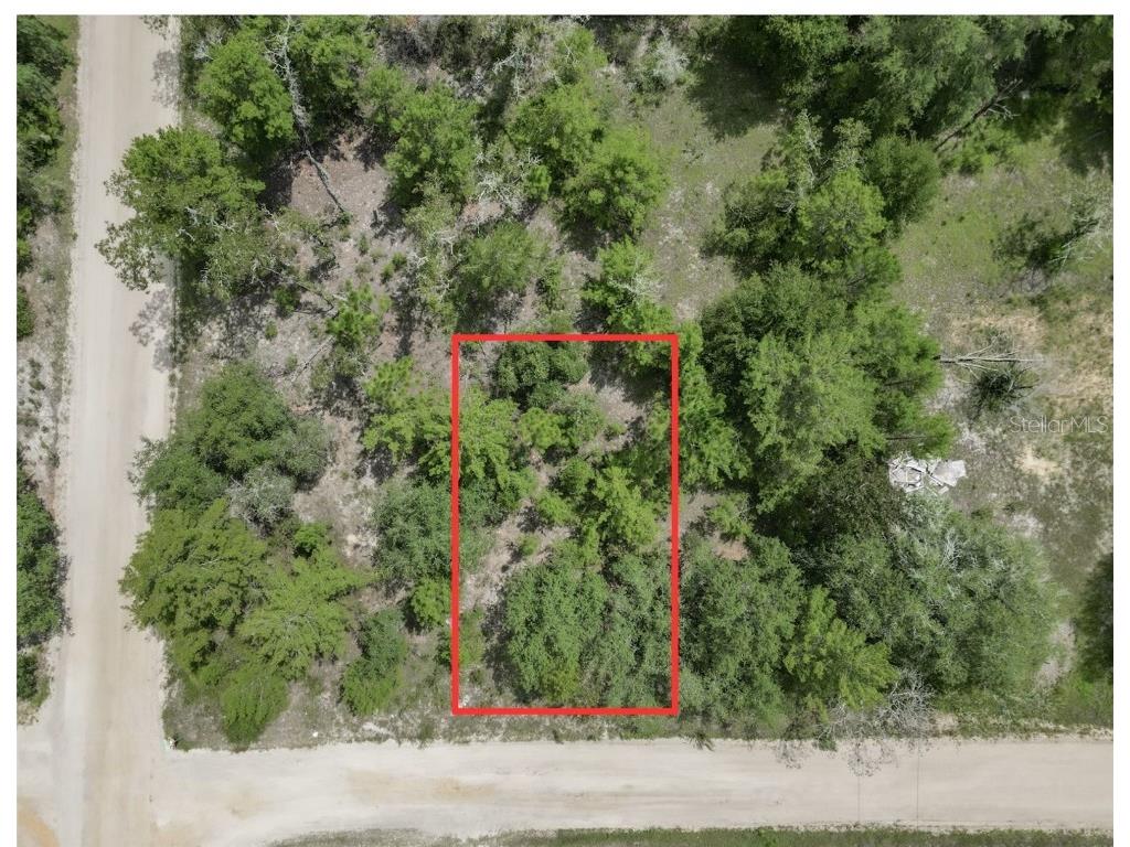 203 Switzerland Street Interlachen FL 32148 OM684634 image1