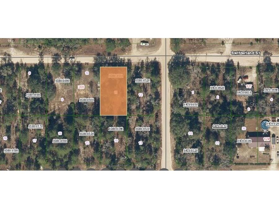 203 Switzerland Street Interlachen FL 32148 OM699770 image1