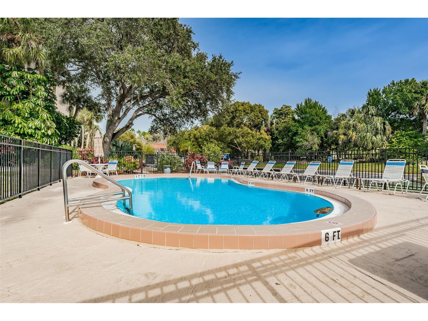 203 Tarpon Point #203 Tarpon Springs FL 34689 - GULF OF AMERICA TB8461745 image34