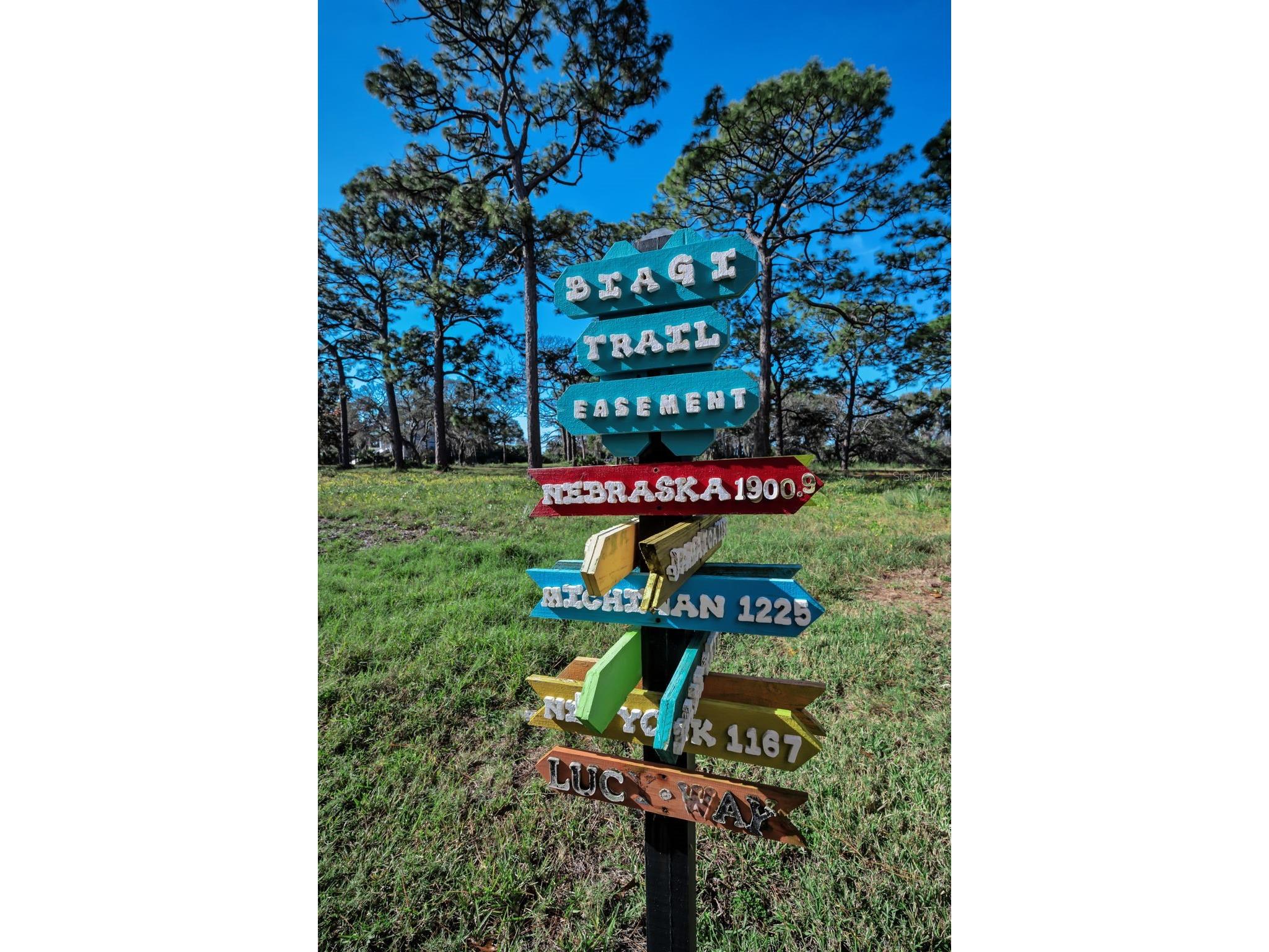 203 Tarpon Point #203 Tarpon Springs FL 34689 - GULF OF AMERICA TB8461745 image36