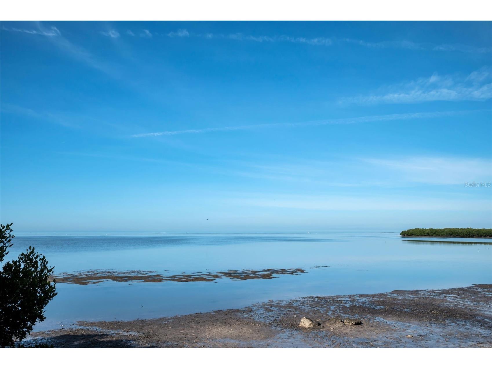 203 Tarpon Point #203 Tarpon Springs FL 34689 - GULF OF AMERICA TB8461745 image39