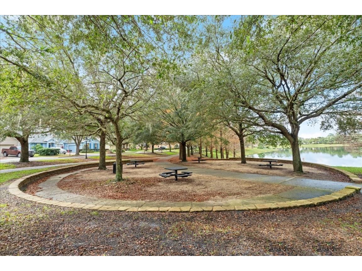 203 W Tarrington Drive Deland FL 32724 V4941202 image46