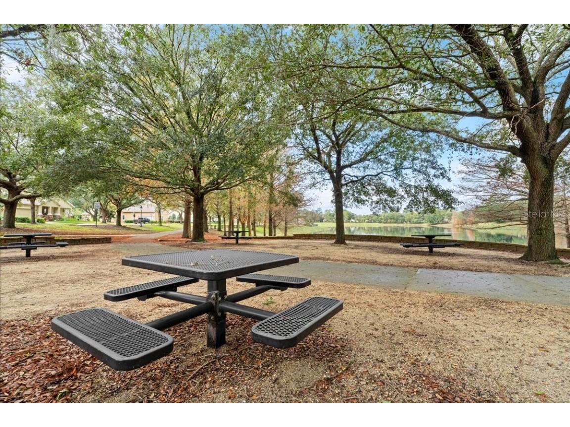 203 W Tarrington Drive Deland FL 32724 V4941202 image47