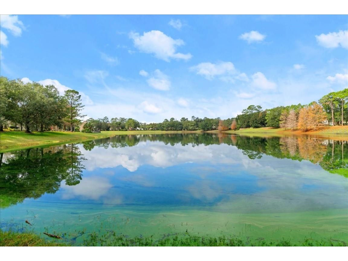 203 W Tarrington Drive Deland FL 32724 V4941202 image48