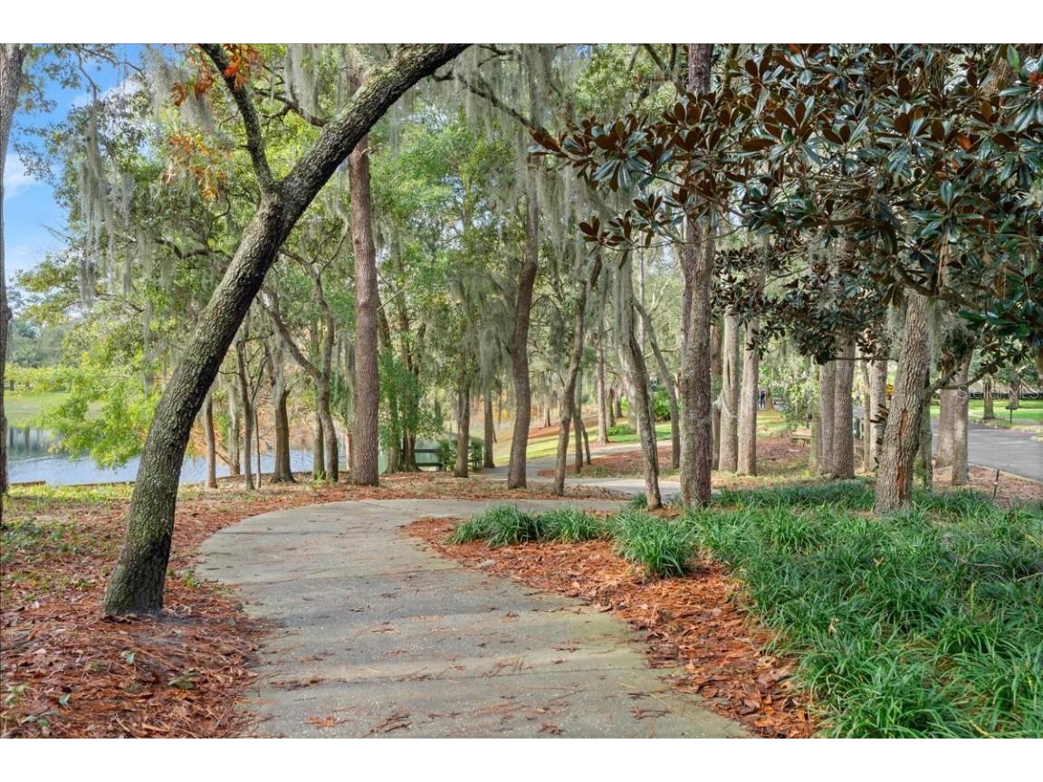 203 W Tarrington Drive Deland FL 32724 V4941202 image51