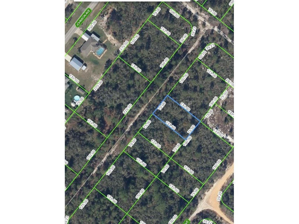 203 Wilson Avenue Lake Placid FL 33852 O6158140 image1